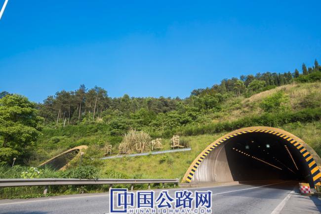 2.铜锣山隧道--G42沪蓉高速（垫邻的段）.jpg
