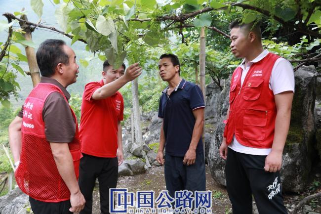 驻村工作队员查看毛葡萄长势情况。廖汉祥（左二）.jpg